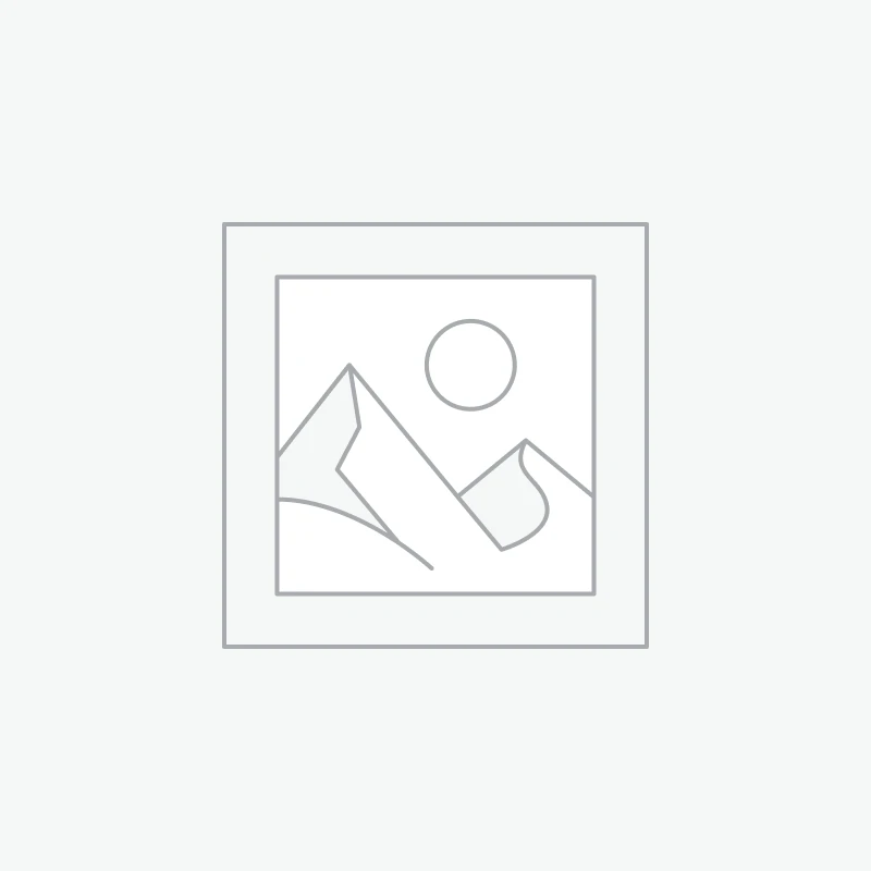 Roasted Diet Poha (200 Gram)