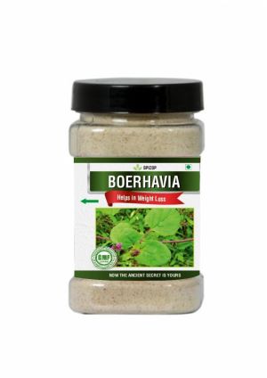 Boerhavia (120 Gram)